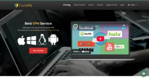 FrootVPN site