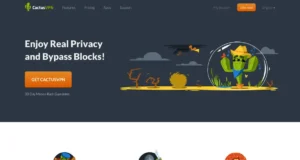 CactusVPN site